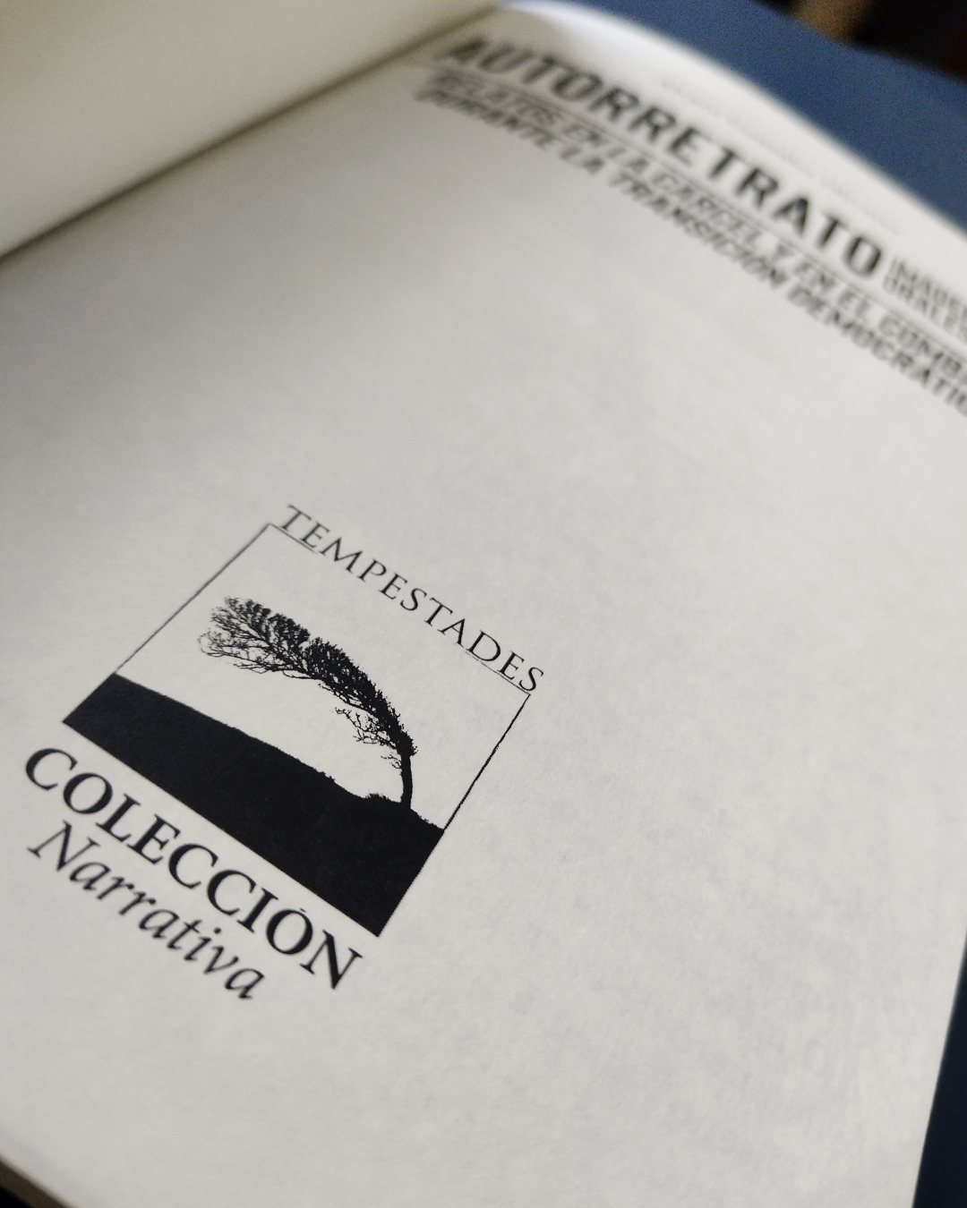 interior autorretrato para ig 324